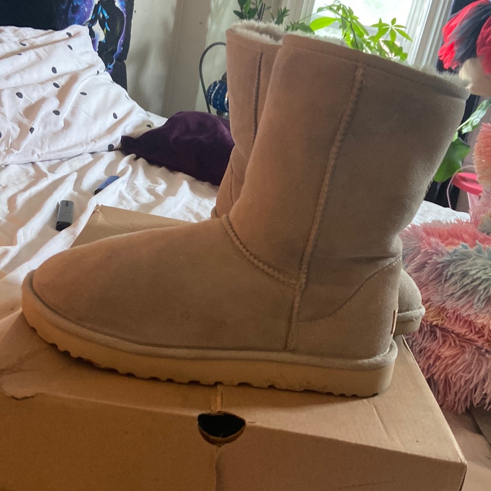 Light grey uggs